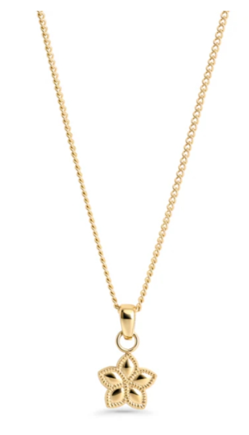 Collier pendentif Melina - T425P006 - Mia Bijoux